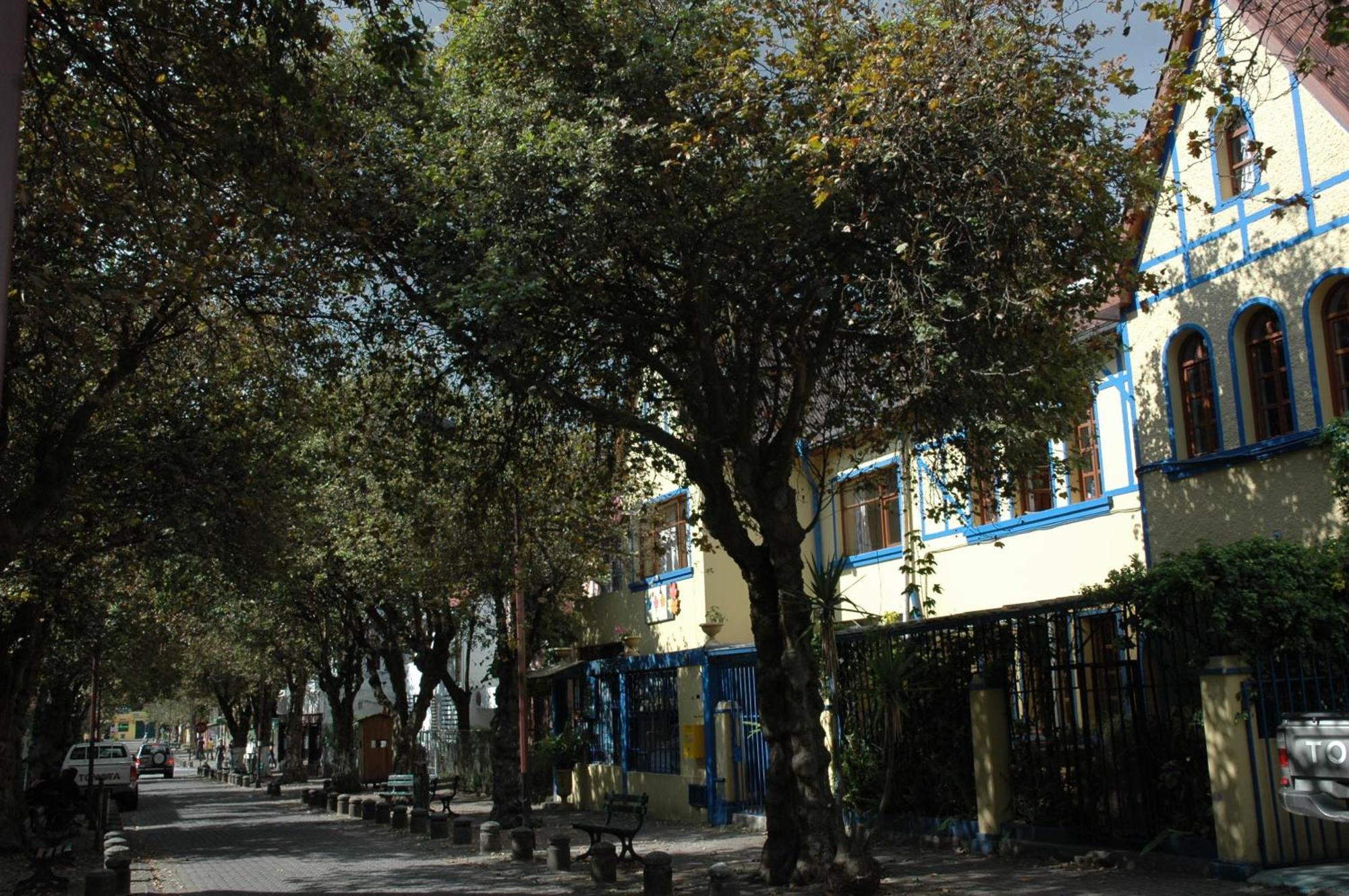 Auberge de jeunesse Hostal Posada Del Maple à Quito Extérieur photo