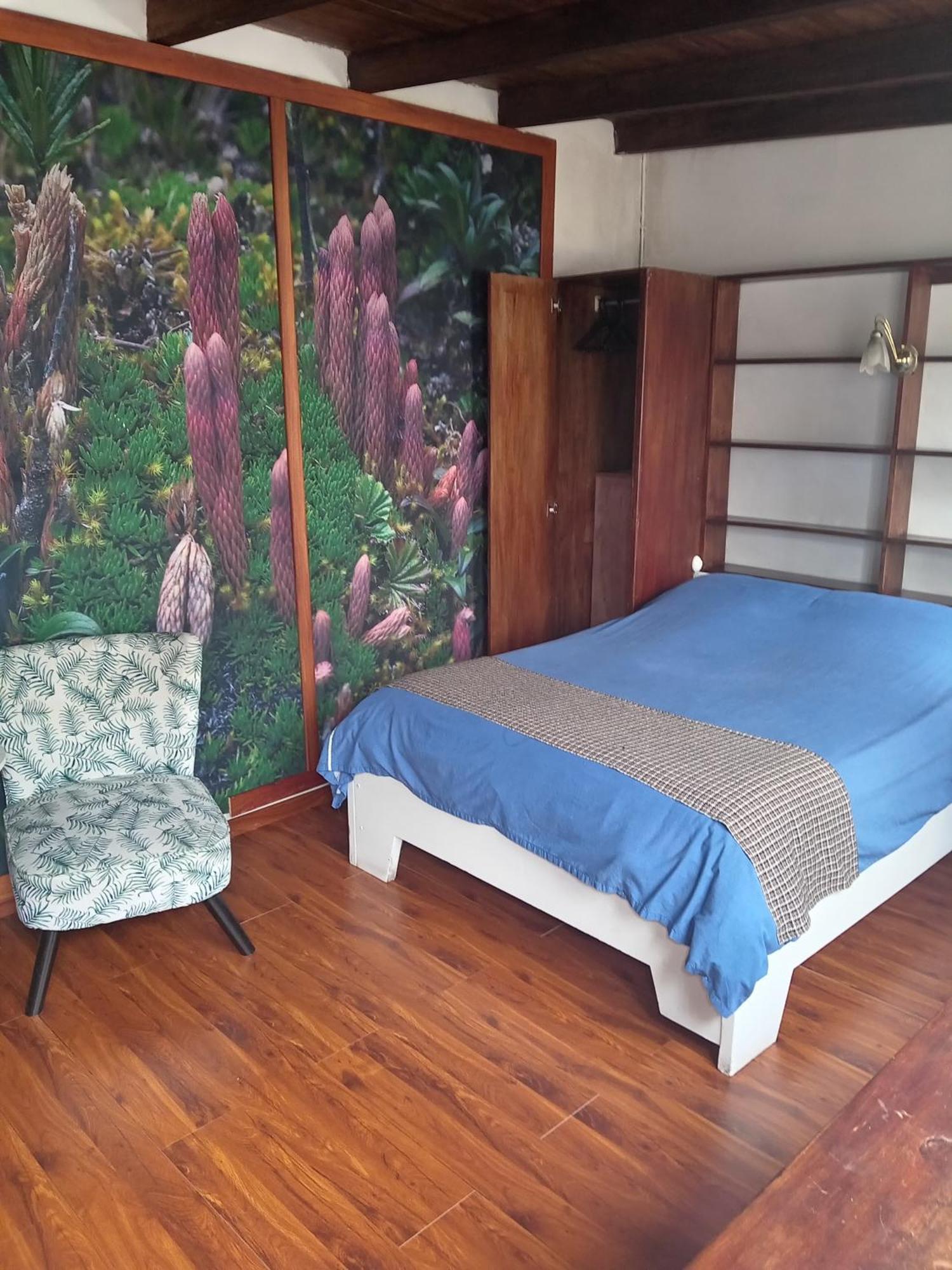 Auberge de jeunesse Hostal Posada Del Maple à Quito Extérieur photo