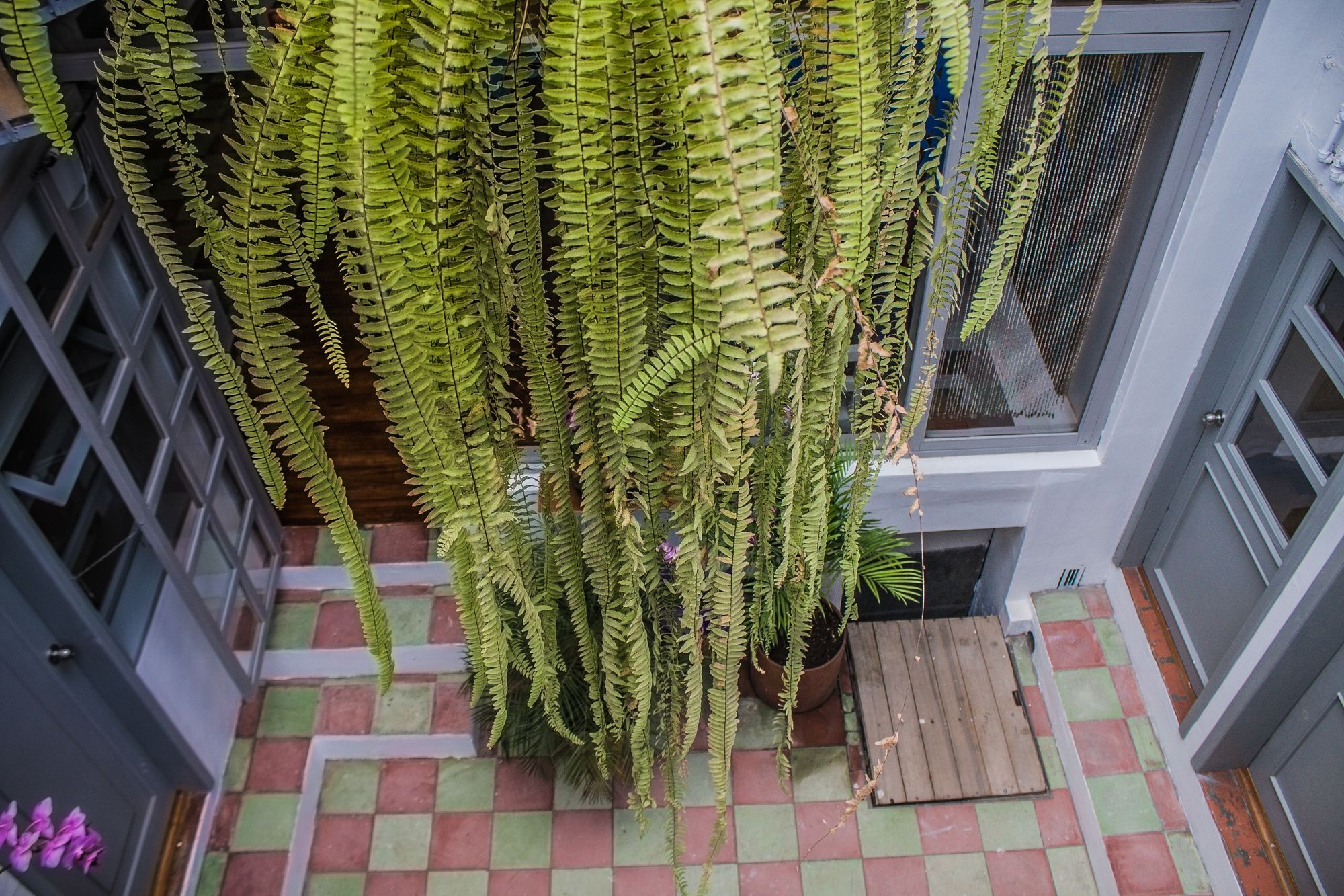 Auberge de jeunesse Hostal Posada Del Maple à Quito Extérieur photo